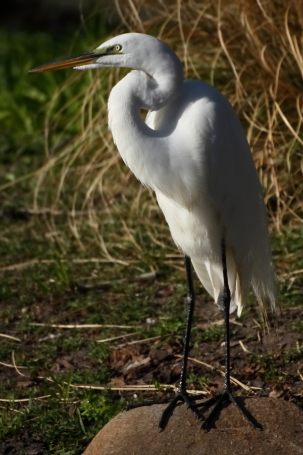 2013 05 06 IMG 05298